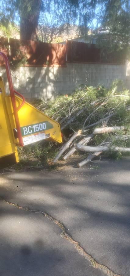 Wood chipper grinding tree branches