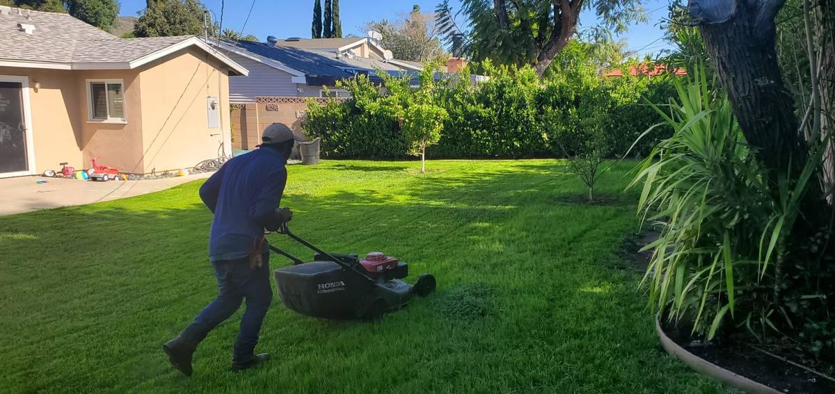 Man mowing a lawn